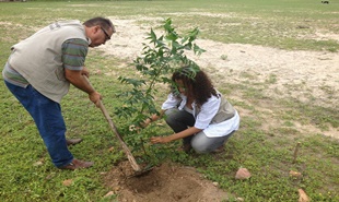 Crianças participam do Projeto Replantar com árvores nativas da região em Delmiro Gouveia