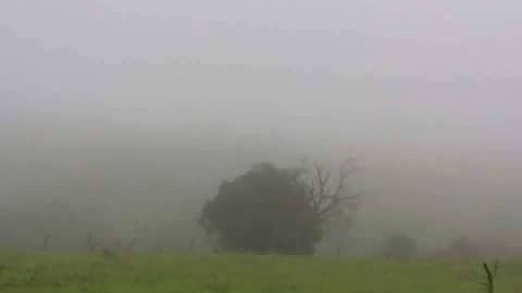 Fotos mostram o amanhecer em Água Branca com temperatura de 18º Graus