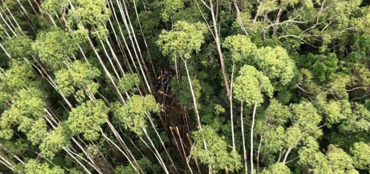 Após 12 dias de buscas, helicóptero que desapareceu em SP com quatro pessoas a bordo é localizado