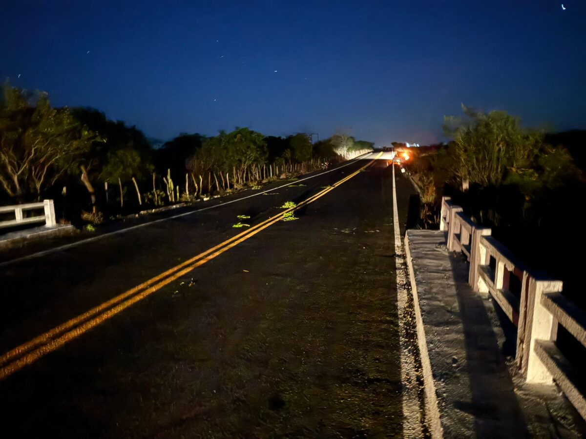 Animal na pista provoca mais uma morte em trecho da AL-220 entre Olho d’Água do Casado e Piau