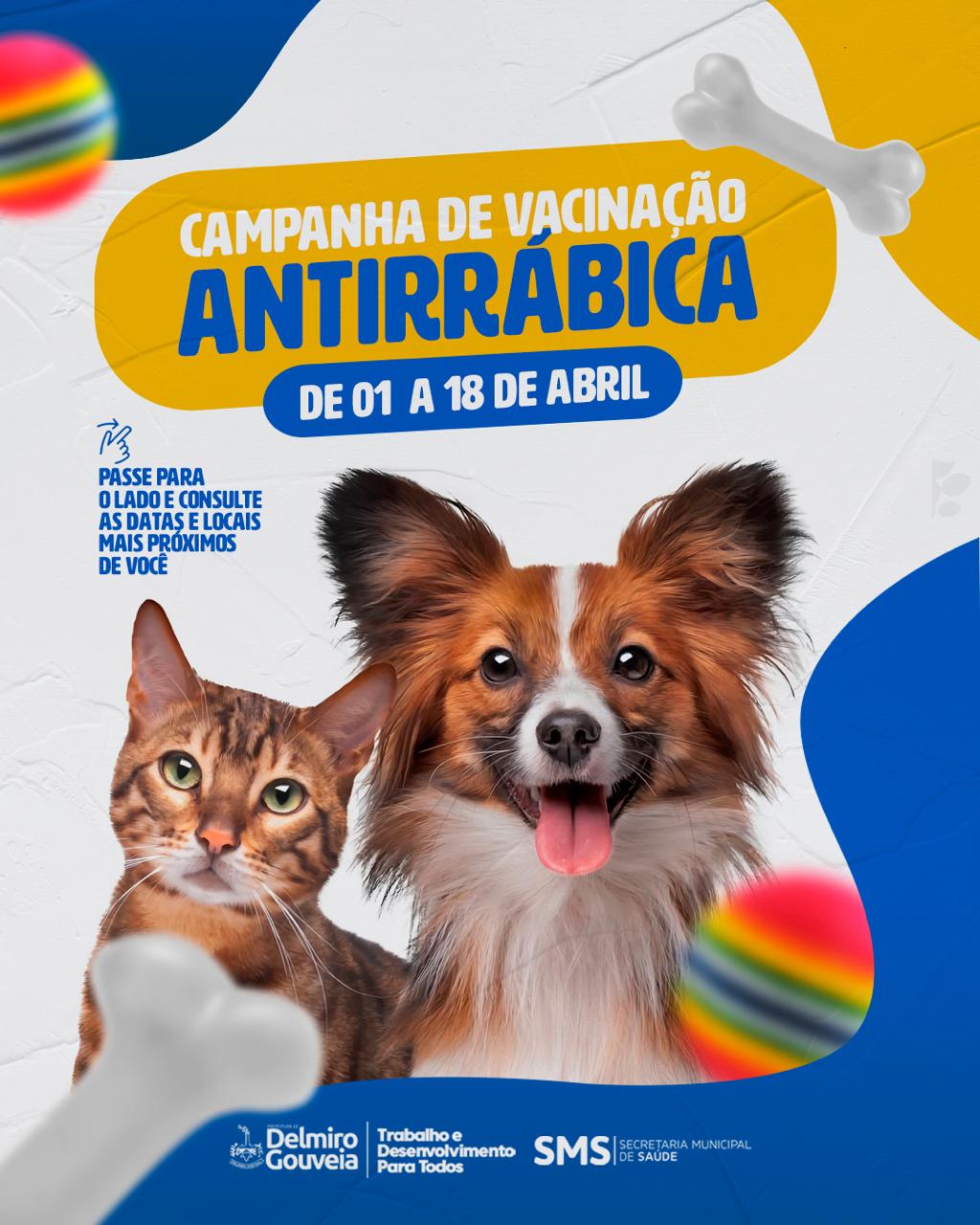 Prefeitura de Delmiro Gouveia inicia companha antirrábica nesta segunda-feira (1°)