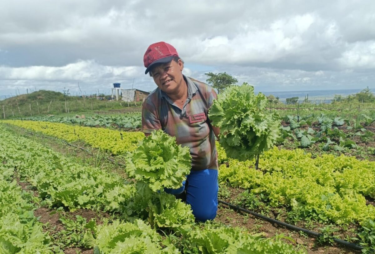Governo de Alagoas lança programa que beneficiará mais de 7 mil famílias da agricultura familiar nesta segunda-feira